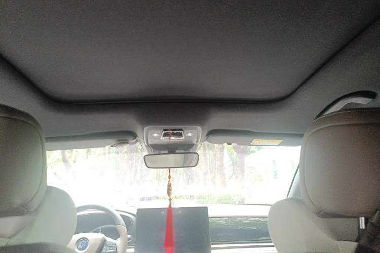 Used BYD Han 2020 DM Four-Wheel Drive Performance Edition Luxury Model Headliner
