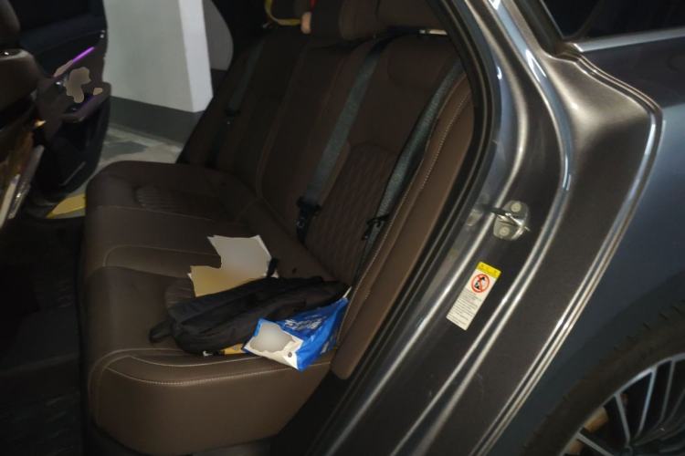 Used BYD Han 2020 DM Four-Wheel Drive Performance Edition Prestige Model Left Rear Seat