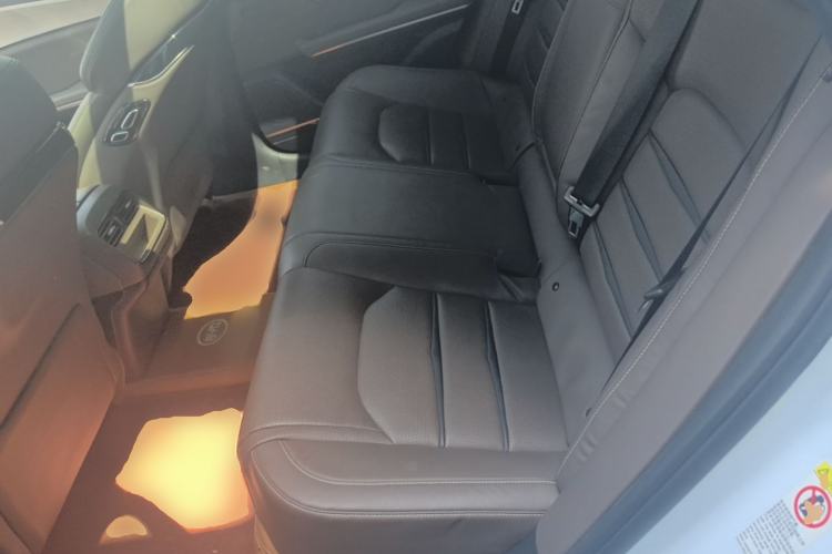 Used BYD Han 2020 EV Long-Range Luxury Model Left Rear Seat