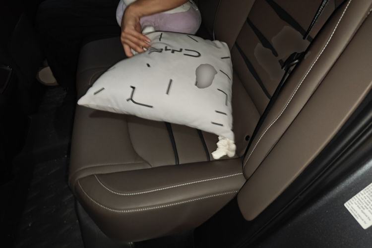 Used BYD Han 2020 EV Long-Range Luxury Model Left Rear Seat