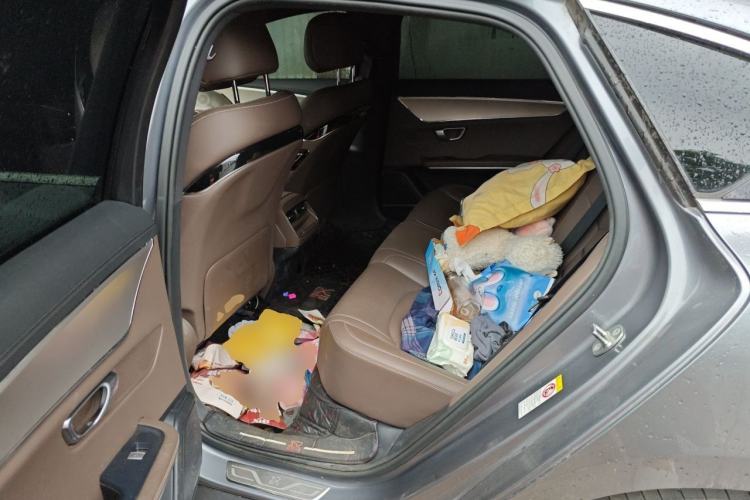 Used BYD Han 2020 EV Long-Range Luxury Model Left Rear Seat