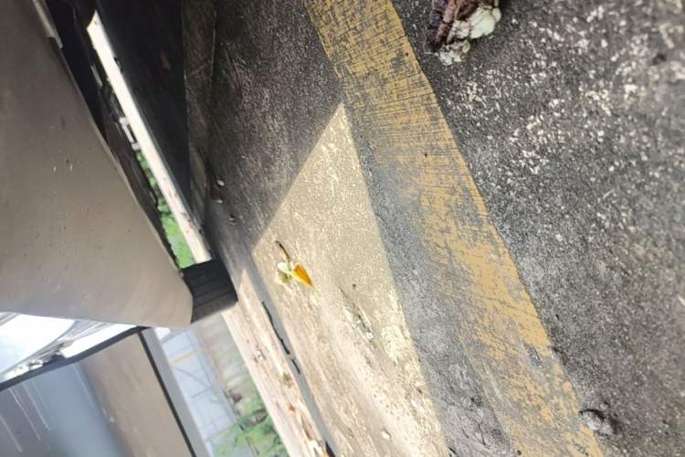 Used BYD Han 2020 EV Long-Range Luxury Model Right Side Sill