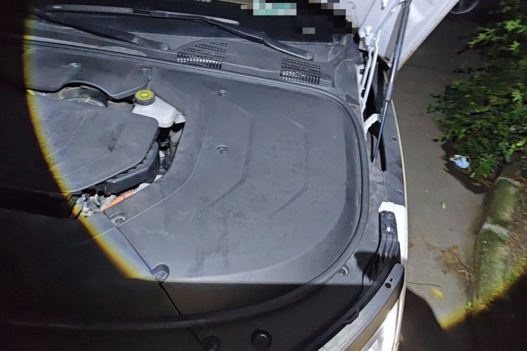 Used BYD Han 2020 DM Four-Wheel Drive Performance Edition Prestige Model Engine Bay Left
