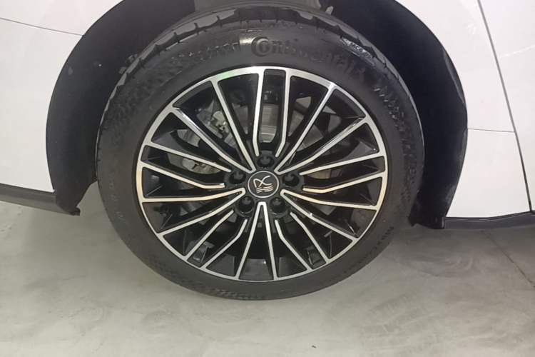 Used BYD Han 2020 DM Four-Wheel Drive Performance Edition Prestige Model Exterior 5