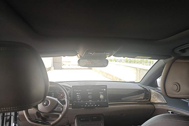Used BYD Han 2020 DM Four-Wheel Drive Performance Edition Prestige Model Headliner