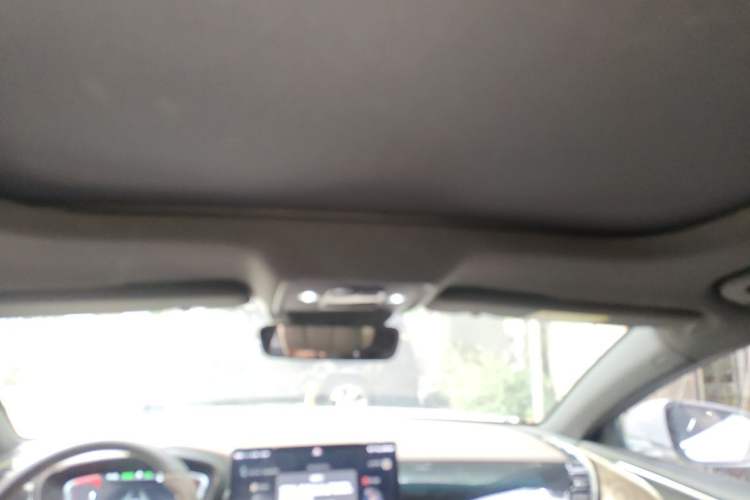 Used BYD Han 2020 DM Four-Wheel Drive Performance Edition Prestige Model Headliner