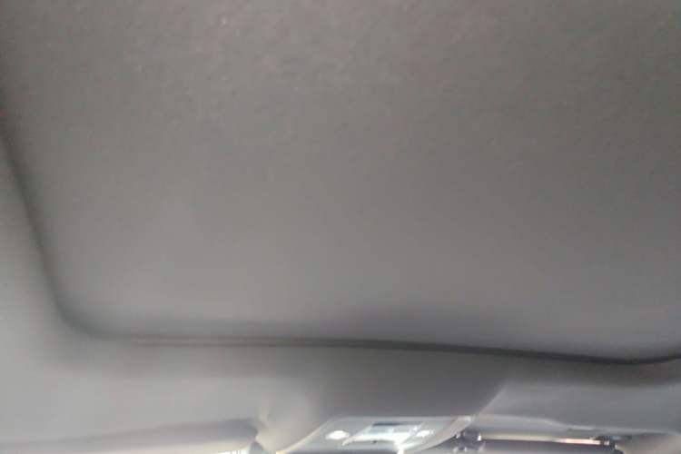 Used BYD Han 2020 DM Four-Wheel Drive Performance Edition Prestige Model Headliner