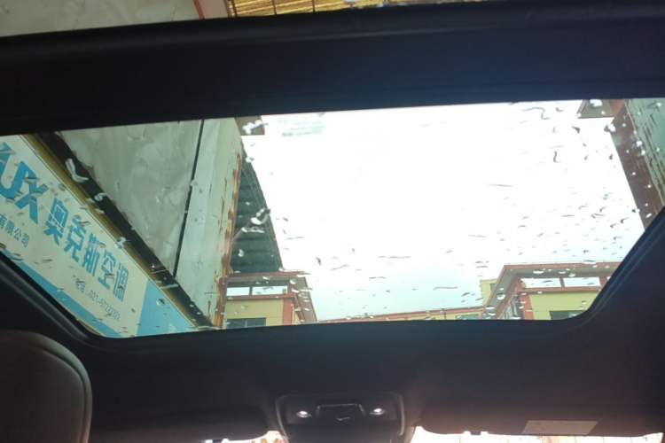 Used BYD Han 2020 DM Four-Wheel Drive Performance Edition Luxury Model Headliner