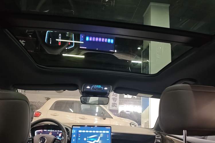 Used BYD Han 2020 DM Four-Wheel Drive Performance Edition Luxury Model Headliner