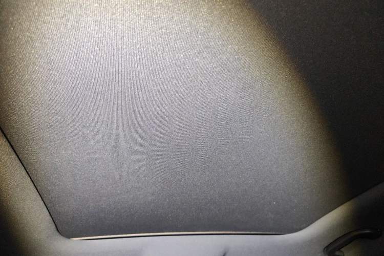 Used BYD Han 2020 EV Long-Range Deluxe Model Headliner