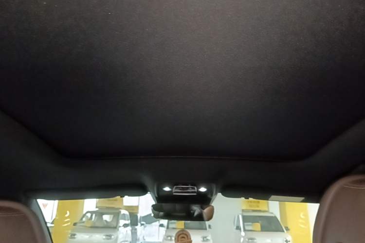 Used BYD Han 2020 EV Long-Range Deluxe Model Headliner
