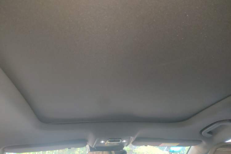 Used BYD Han 2020 EV Long-Range Deluxe Model Headliner