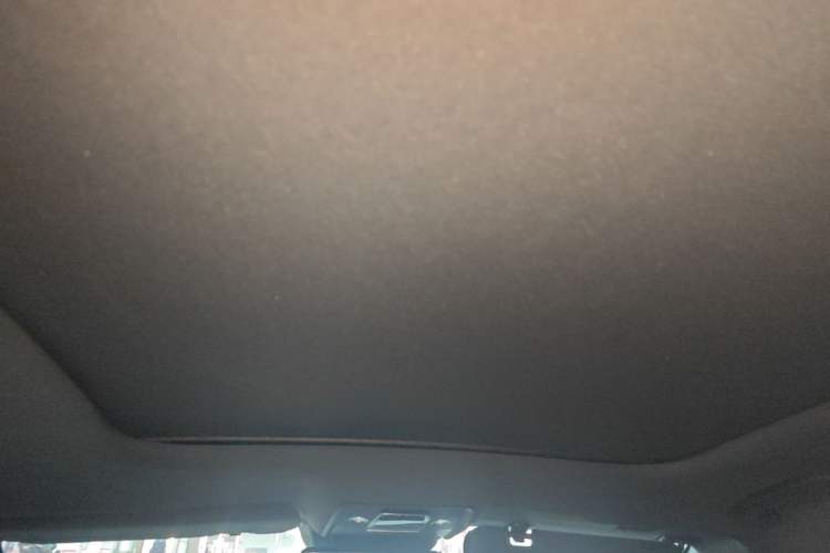 Used BYD Han 2020 DM Four-Wheel Drive Performance Edition Prestige Model Headliner
