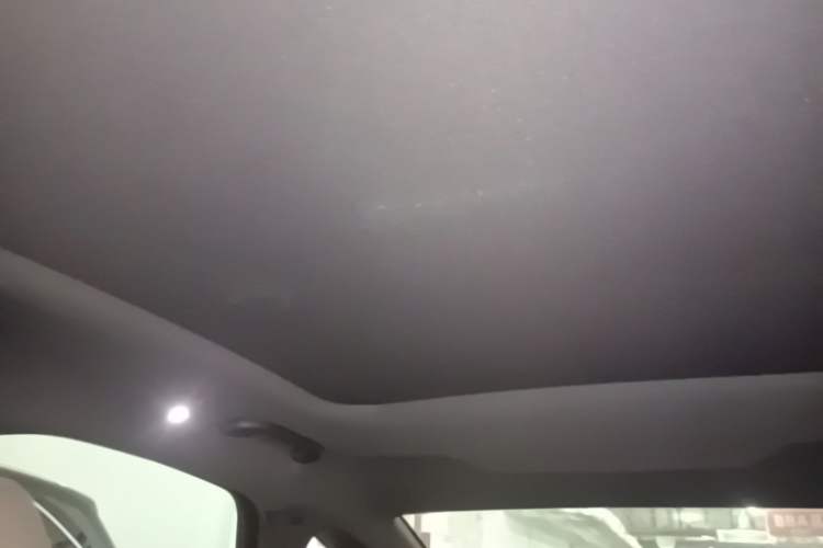 Used BYD Han 2020 DM Four-Wheel Drive Performance Edition Prestige Model Headliner