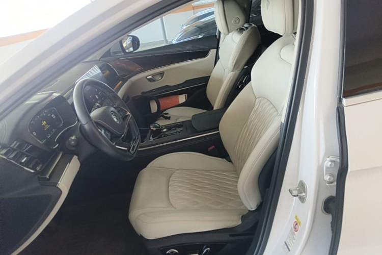 Used BYD Han 2020 EV Long-Range Deluxe Model Left Front Seat