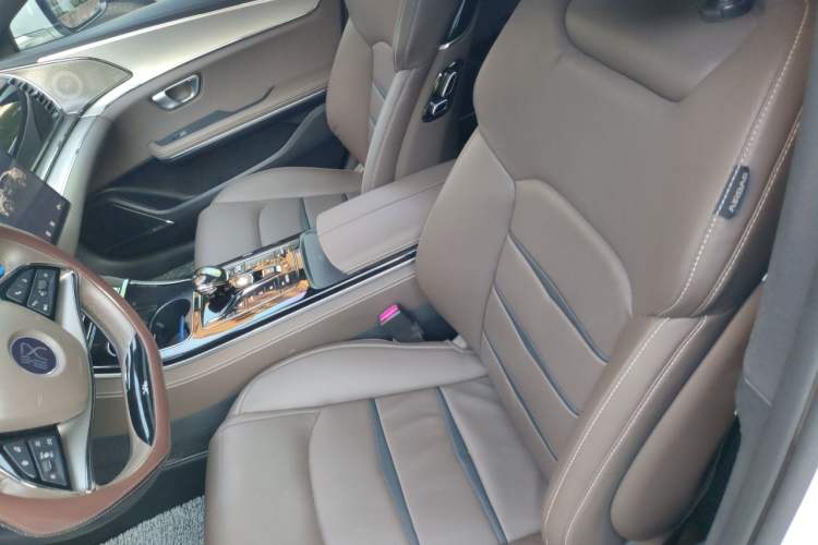 Used BYD Han 2020 EV Long-Range Luxury Model Left Front Seat