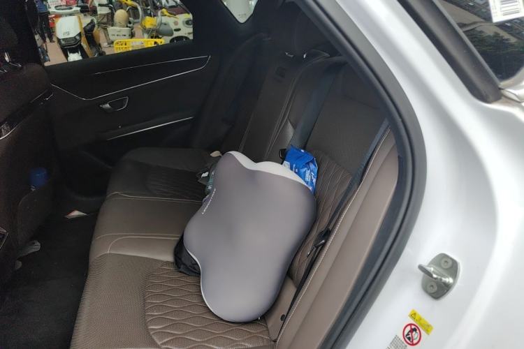 Used BYD Han 2020 EV Four-Wheel Drive High-Performance Flagship Model Left Rear Seat
