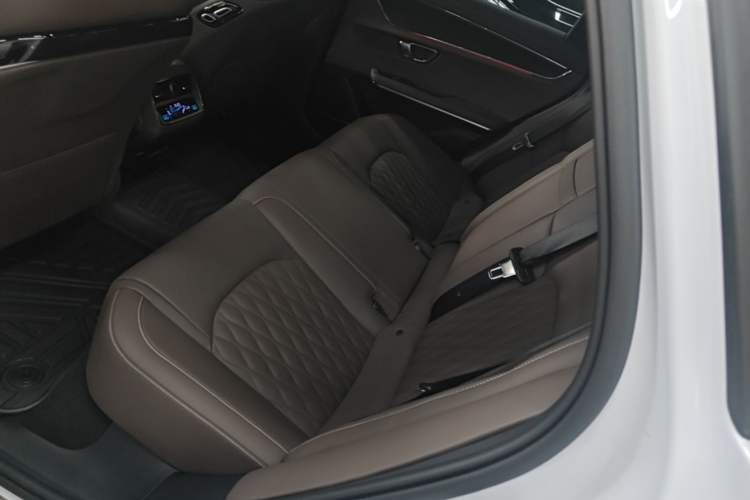 Used BYD Han 2020 EV Long-Range Deluxe Model Left Rear Seat