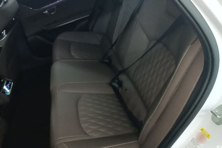 Used BYD Han 2020 EV Long-Range Deluxe Model Left Rear Seat