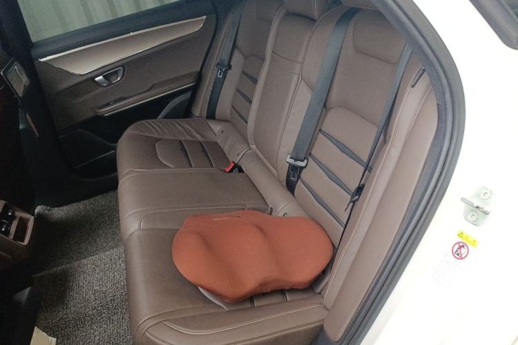 Used BYD Han 2020 EV Long-Range Luxury Model Left Rear Seat