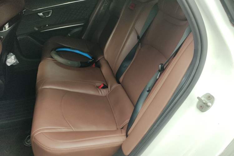Used BYD Han 2020 EV Four-Wheel Drive High-Performance Flagship Model Left Rear Seat