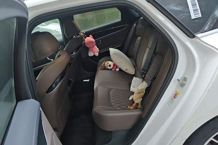 Used BYD Han 2020 DM Four-Wheel Drive Performance Edition Prestige Model Left Rear Seat