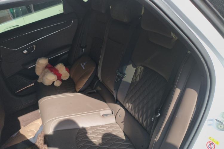 Used BYD Han 2020 DM Four-Wheel Drive Performance Edition Prestige Model Left Rear Seat