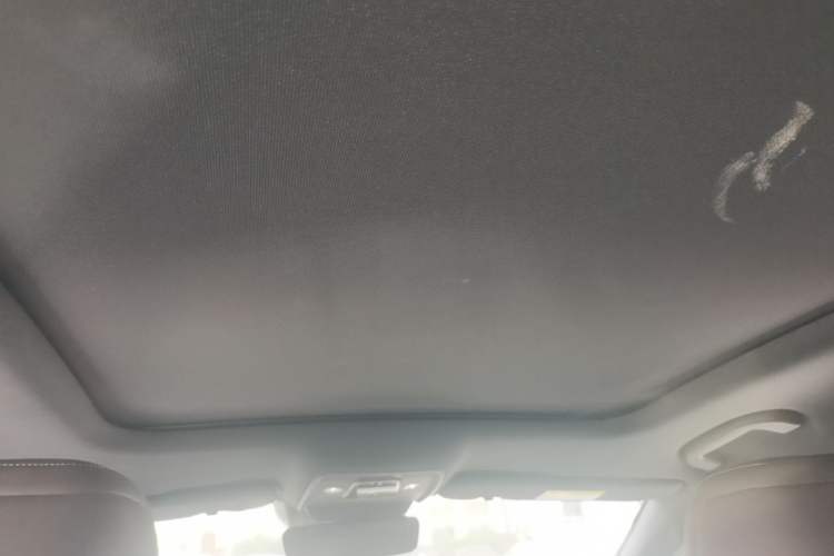 Used BYD Han 2021 EV Standard Range Luxury Model Headliner