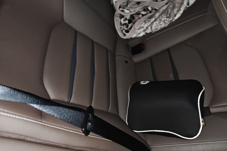 Used BYD Han 2021 EV Standard Range Luxury Model Left Rear Seat