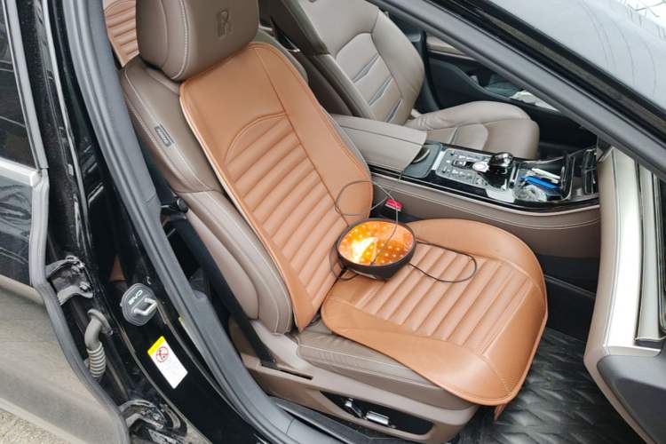 Used BYD Han 2021 EV Standard Range Luxury Model Right Front Seat