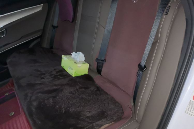 Used BYD Han 2021 EV Standard Range Luxury Model Left Rear Seat