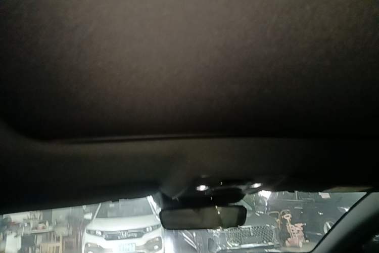Used BYD Han 2021 EV Standard Range Luxury Model Headliner