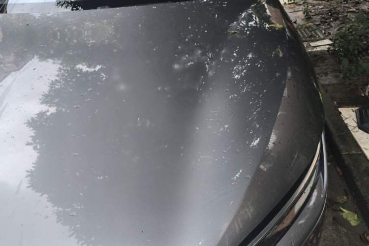 Used BYD Han 2021 EV Standard Range Luxury Model Engine Bay Left