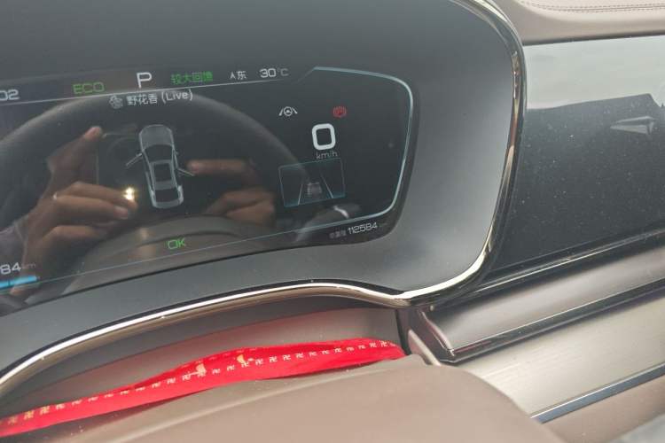 Used BYD Han 2021 EV Standard Range Luxury Model Odometer Close Up