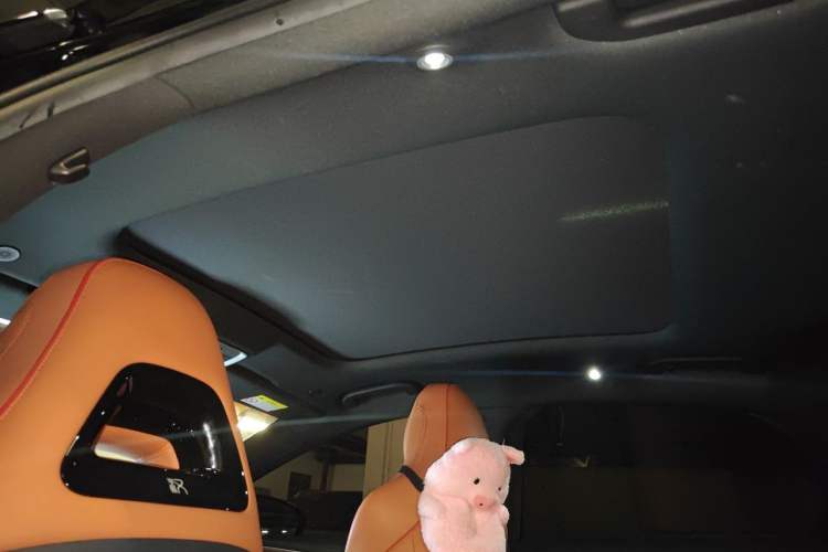 Used BYD Han 2022 DM-p 202km Four-Wheel Drive Flagship Model Headliner