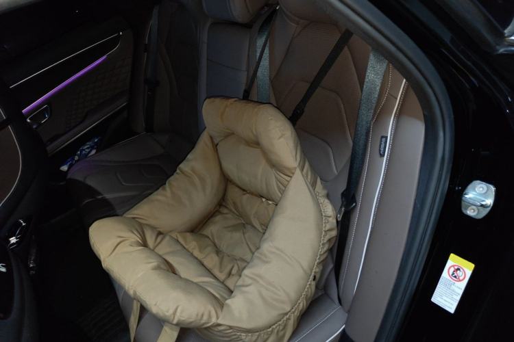 Used BYD Han 2022 DM-i 121KM Luxury Model Left Rear Seat