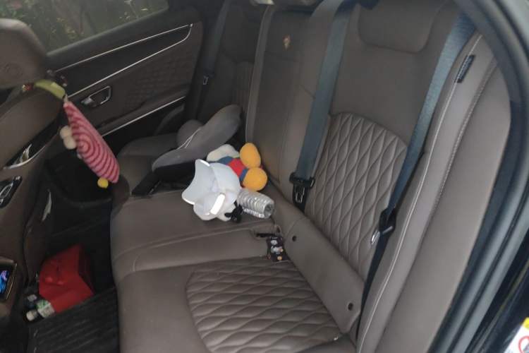 Used BYD Han 2022 DM-i 121KM Luxury Model Left Rear Seat
