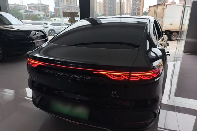 Used BYD Han 2022 DM-p 202km Four-Wheel Drive Flagship Model Rear
