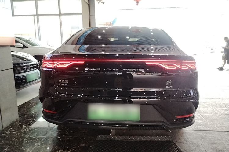 Used BYD Han 2022 DM-p 202km Four-Wheel Drive Flagship Model Rear