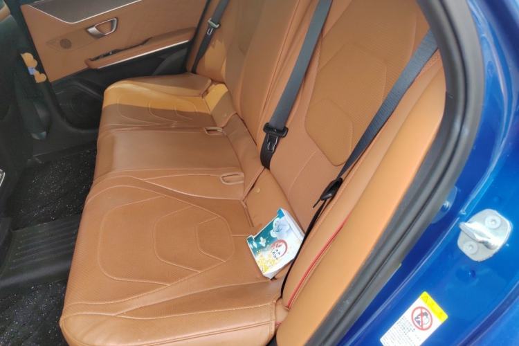 Used BYD Han 2022 DM-p 202km Four-Wheel Drive Flagship Model Left Rear Seat