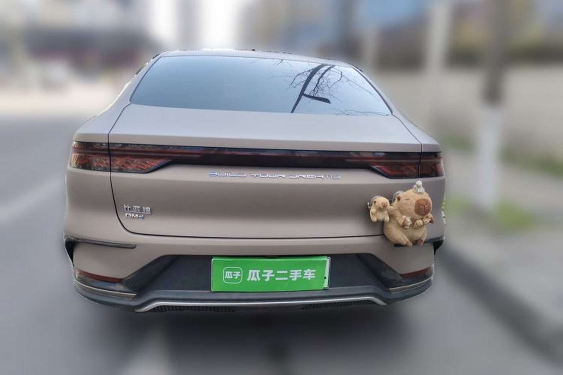 Used BYD Han 2022 DM-i 121KM Luxury Model Rear