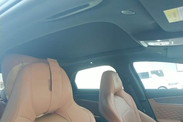 Used BYD Han 2022 DM-i 121KM Luxury Model Headliner