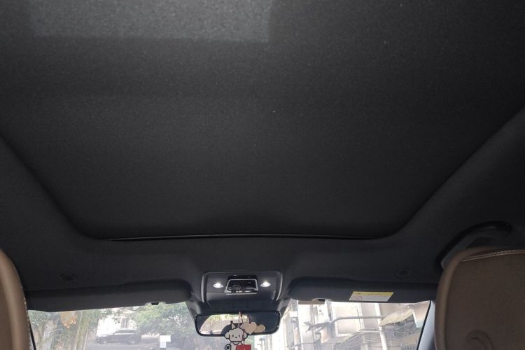 Used BYD Han 2022 DM-i 121KM Luxury Model Headliner