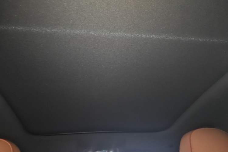 Used BYD Han 2022 DM-p 202km Four-Wheel Drive Flagship Model Headliner