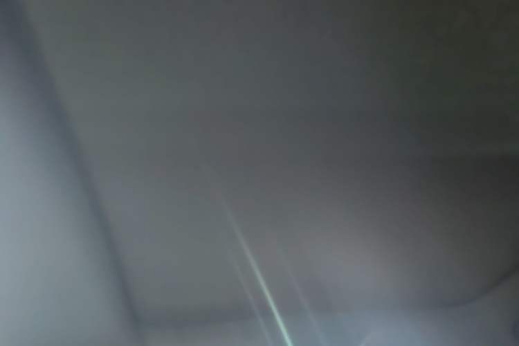 Used BYD Han 2022 DM-i 121KM Luxury Model Headliner