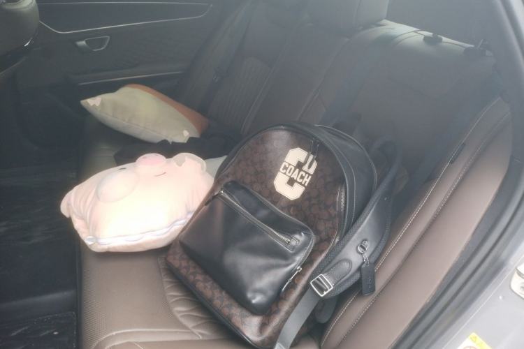 Used BYD Han 2022 DM-i 121KM Luxury Model Left Rear Seat