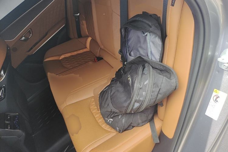 Used BYD Han 2022 DM-i 121KM Luxury Model Left Rear Seat