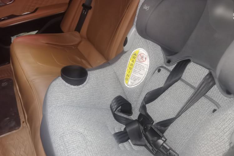 Used BYD Han 2022 DM-i 121KM Luxury Model Left Rear Seat