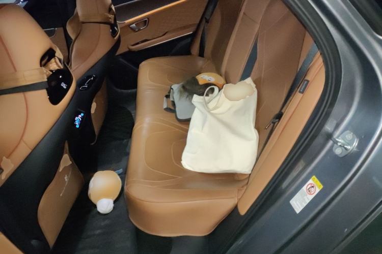 Used BYD Han 2022 DM-i 121KM Luxury Model Left Rear Seat