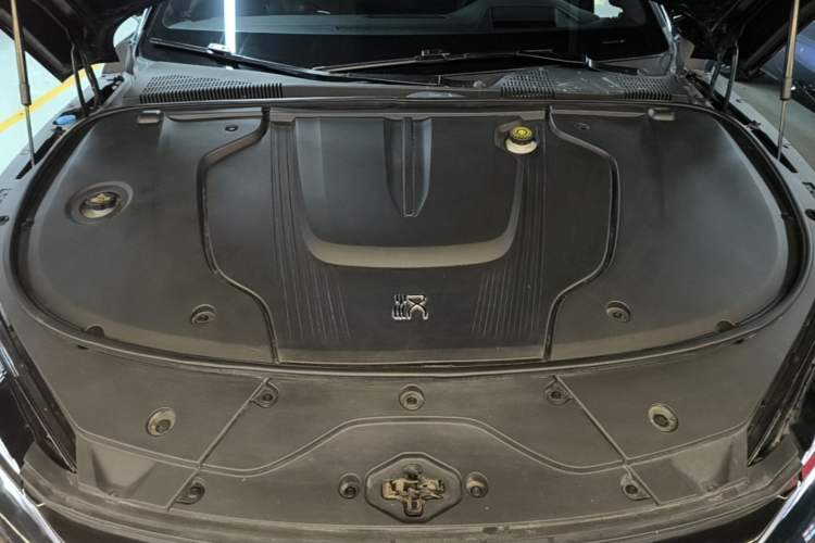 Used BYD Han 2022 EV 610 km All-Wheel-Drive Qianshan Cui Limited Edition Engine Bay